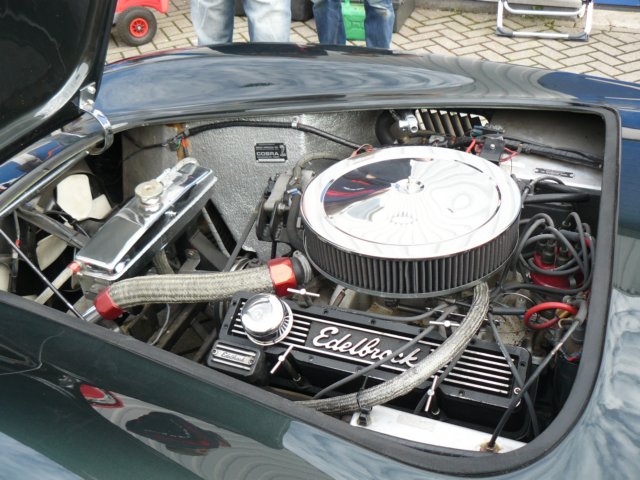 cobra.jpg